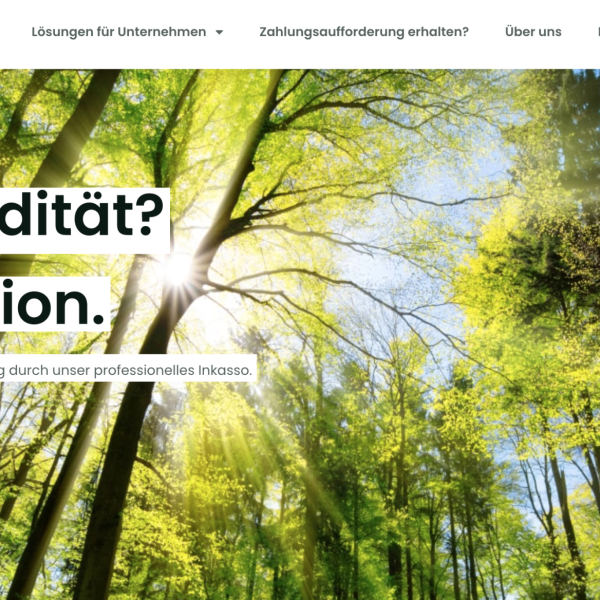 Rechnung von Inkassolution anfechten